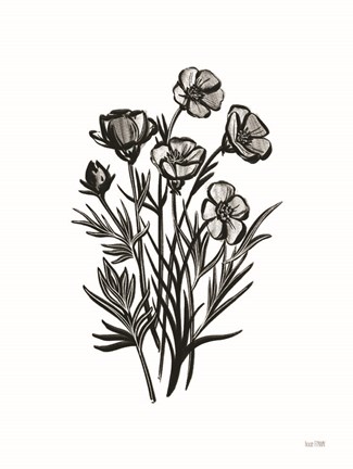 Framed Pen and Ink Wildflower II Print