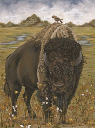 Framed Bison Print