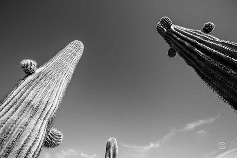 Framed Three Kings Print