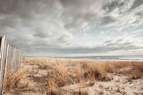 Framed Atlantic Coast Afternoon Print