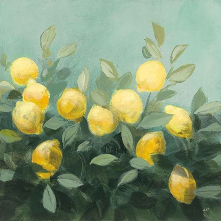 Framed Lemon Grove II Print