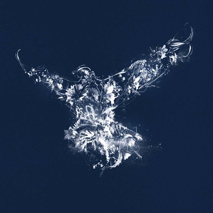 Framed Flying Silhouette Print