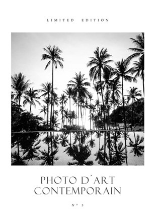 Framed Photo D&#39;Art No 5 Print