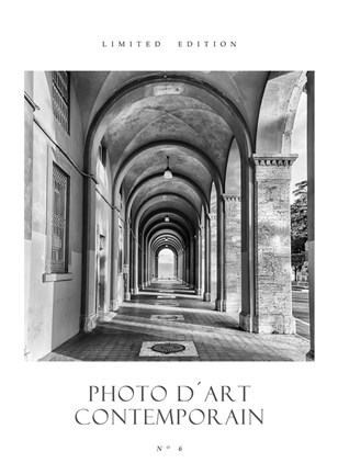 Framed Photo D&#39;Art No 6 Print