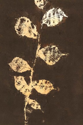 Framed Pure Nature 4 Print