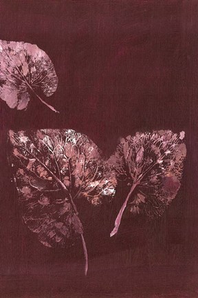 Framed Pure Nature 5 Print