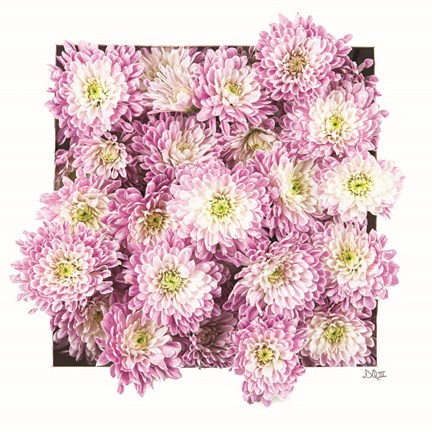 Framed Pretty in Purple II Print