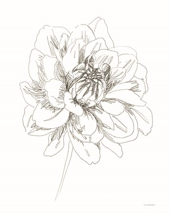 Framed Center of things Print