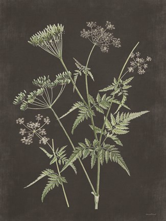 Framed Chives Print