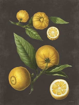 Framed Lemon Citrus Print