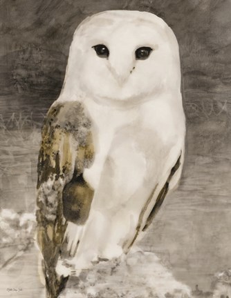 Framed Snowy Owl 1 Print