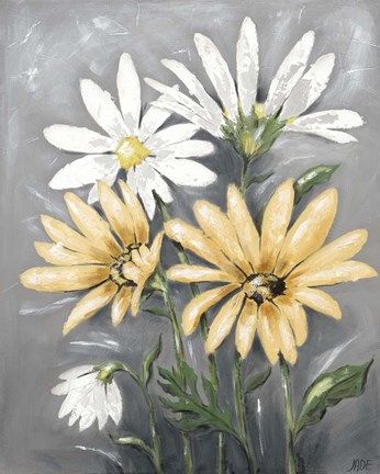 Framed Summer Daisies II Print