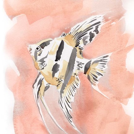 Framed Blush and Ochre Angel Fish II Print