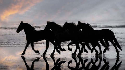 Framed Wave Runners I Print