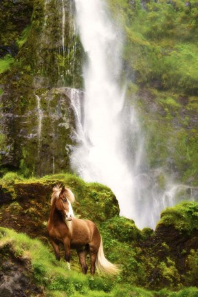 Framed View At Rest VI Print