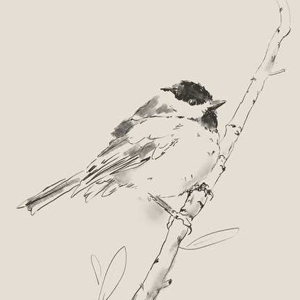 Framed Black Capped Chickadee I Print