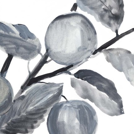 Framed Rustic Vine II Print