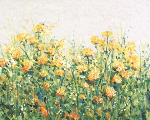 Framed Garden in Bloom III Print