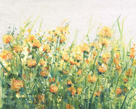 Framed Garden in Bloom IV Print