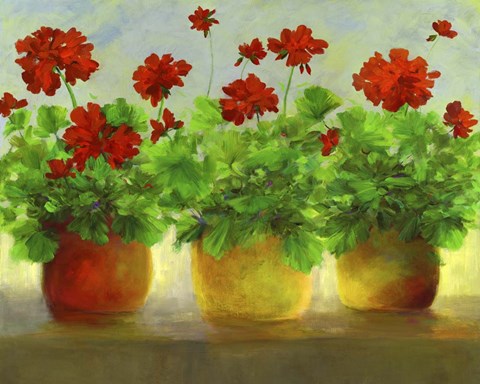 Framed Geraniums III Print