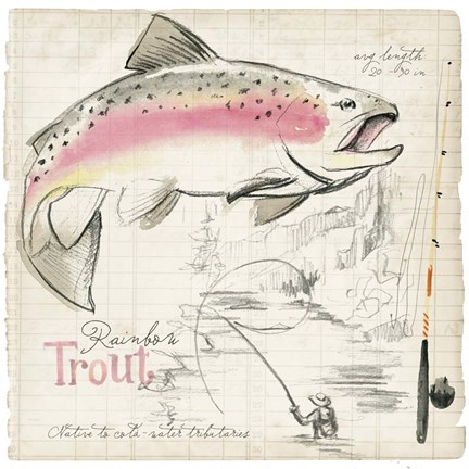 Framed Trout Journal I Print