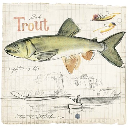 Framed Trout Journal III Print