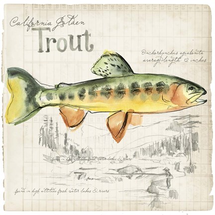 Framed Trout Journal IV Print