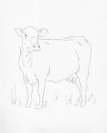 Framed Limousin Cattle II Print