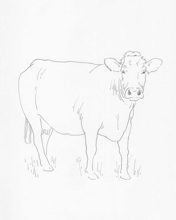 Framed Limousin Cattle III Print