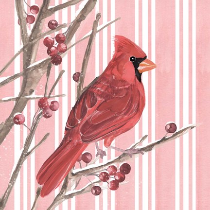 Framed Winter Cardinal II Print