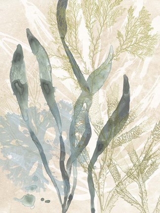 Framed Vintage Ocean Jewels II Print