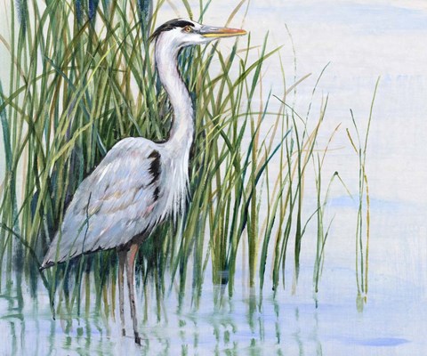 Framed Heron in the Marsh I Print