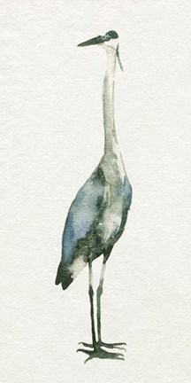 Framed Deep Blue Heron II Print