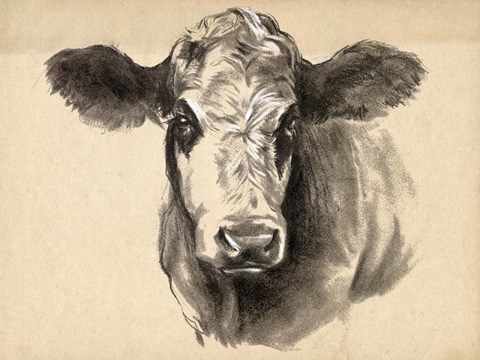 Framed Charcoal Cow I Print