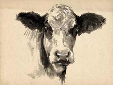 Framed Charcoal Cow II Print