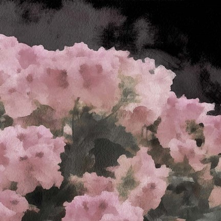 Framed Blush Rush II Print