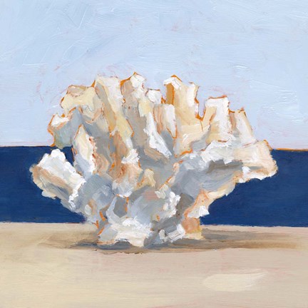 Framed Coral By the Shore II Print