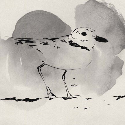 Framed Inky Plover I Print