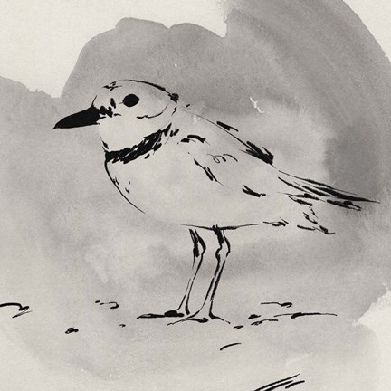 Framed Inky Plover II Print