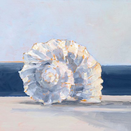 Framed Shell By the Shore IV Print