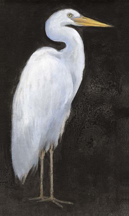 Framed White Heron Portrait I Print