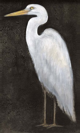 Framed White Heron Portrait II Print