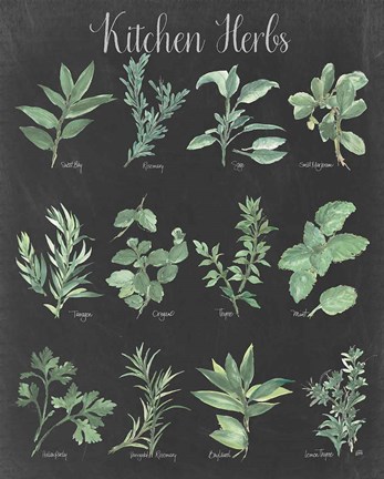 Framed Kitchen Herb Chart on Black II Print