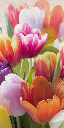 Framed Spring Tulips II Print