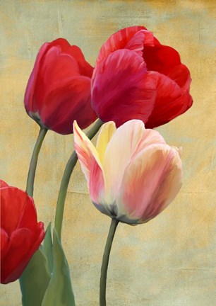 Framed Ruby Tulips Print