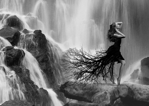 Framed Nature&#39;s Beauty Print