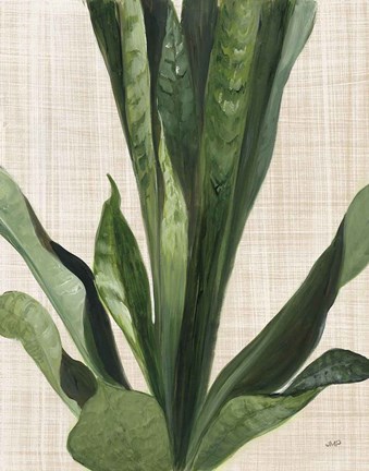 Framed Tropical Study III Linen Print