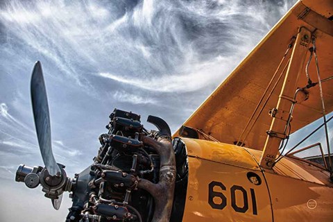 Framed Aero Maquina Big Yellow Print