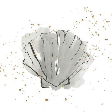 Framed Sea Scallop Print