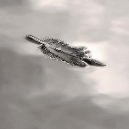 Framed Feather on Liquid Sky Print